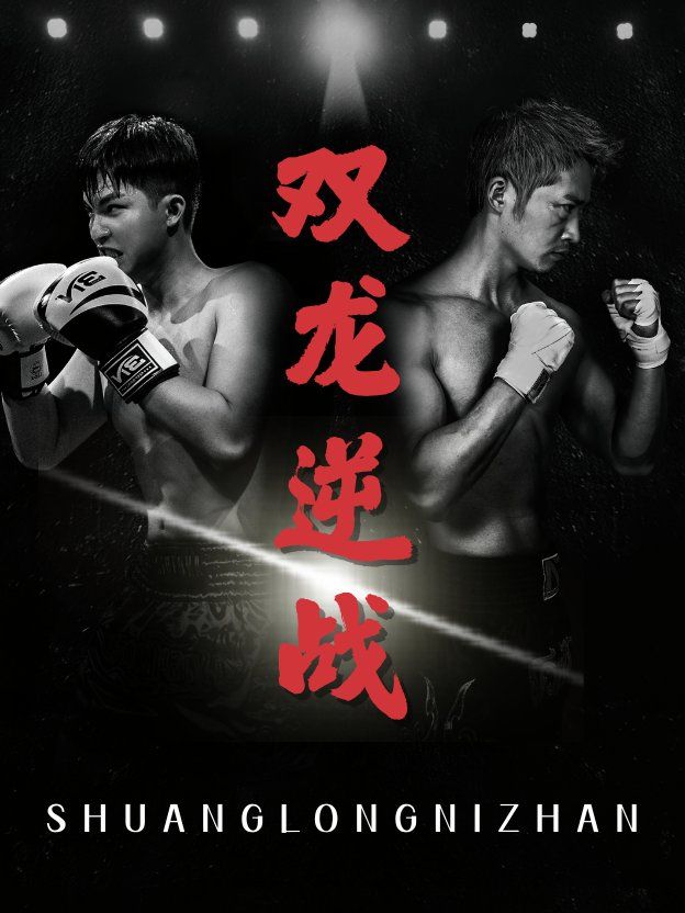 双龙逆战（拳王之父子双龙）
